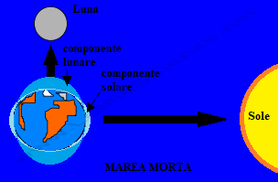 Marea morta