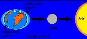 Marea viva