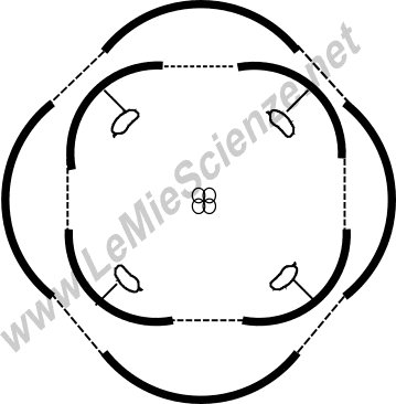 Esempio di diagramma fiorale