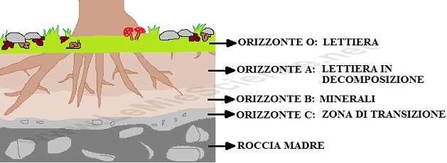 Profilo del suolo
